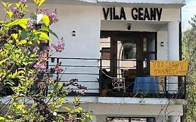 Pensiunea Vila Geany Srl